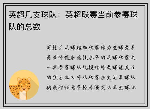 英超几支球队：英超联赛当前参赛球队的总数